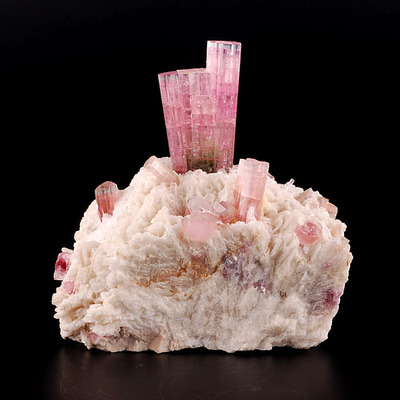 Let the treasures of the earth shine forever